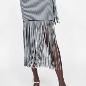 Zara Fringed Skirt (New With Tags)